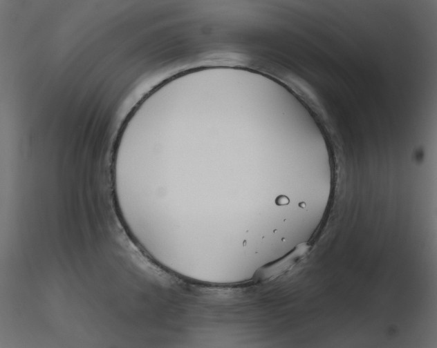 X0000116551192200912311905