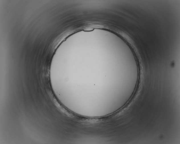 X0000116551193200912311905