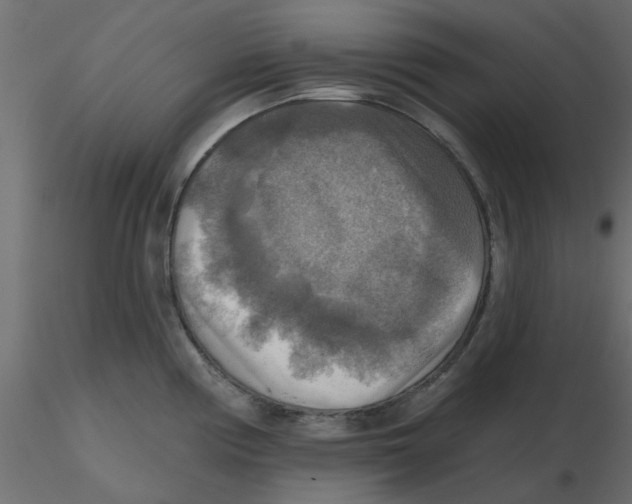 X0000116551194200912311905