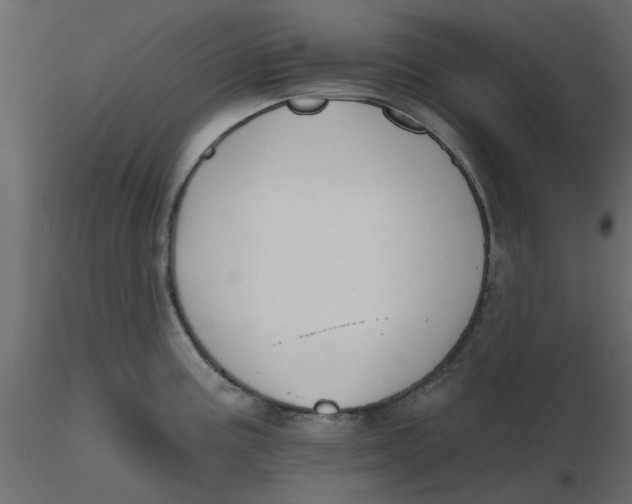 X0000116551195200912311905