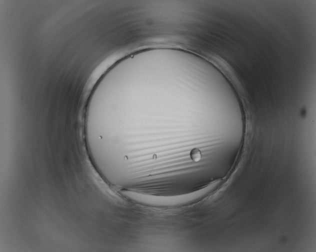 X0000116551196200912311905