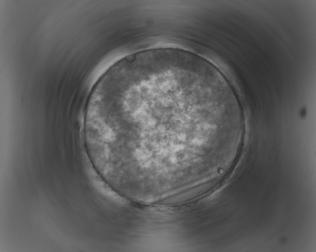 X0000116551198200912311905