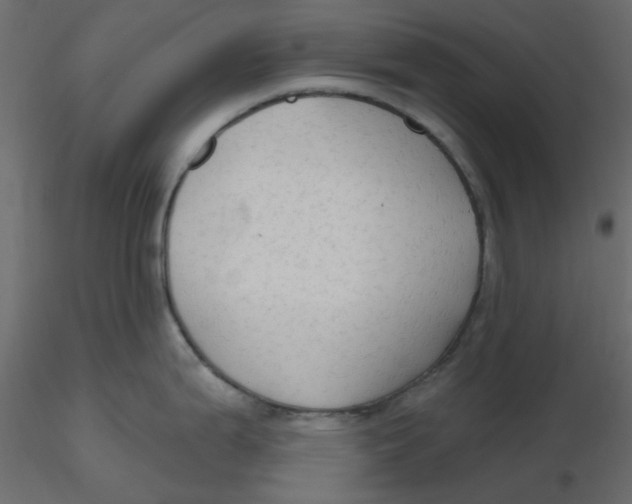 X0000116551199200912311905