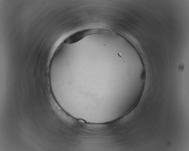 X0000116551200200912311905