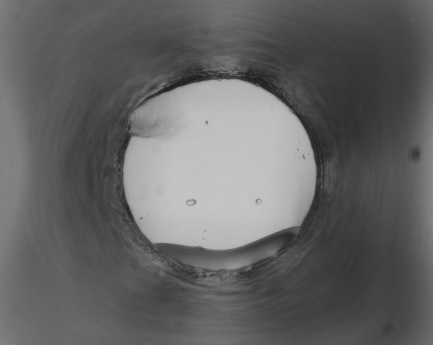 X0000116551201200912311904