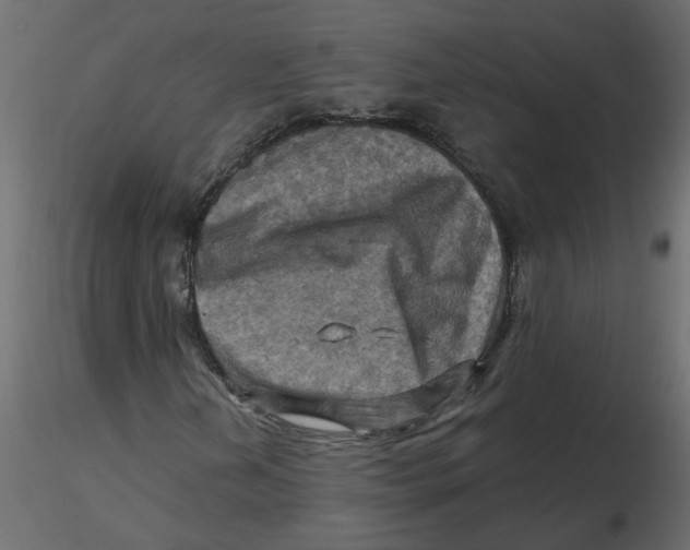 X0000116551202200912311904