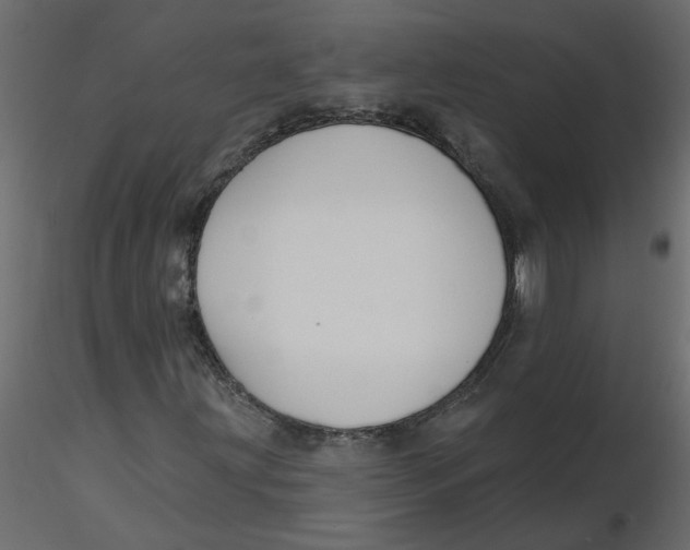 X0000116551203200912311904