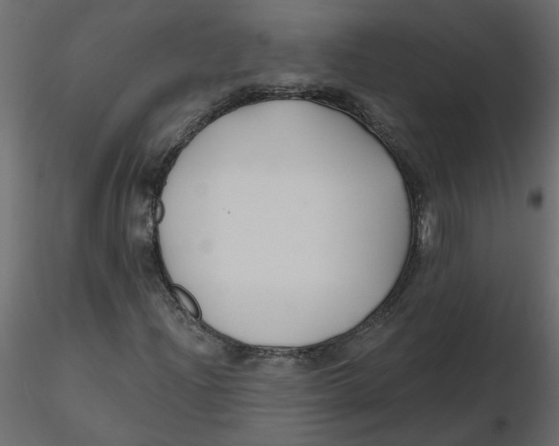 X0000116551204200912311904