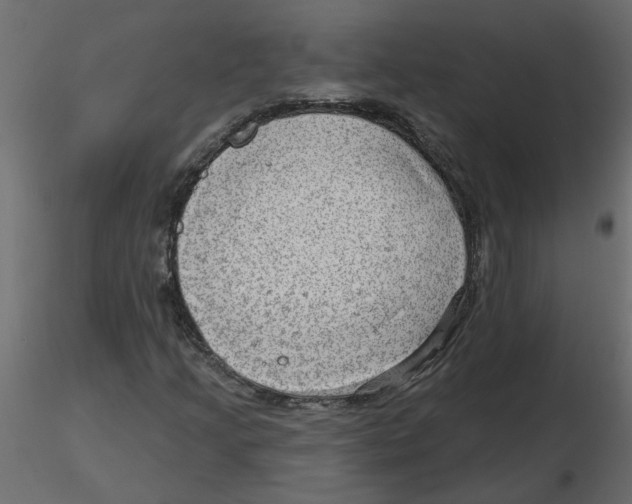 X0000116551205200912311904