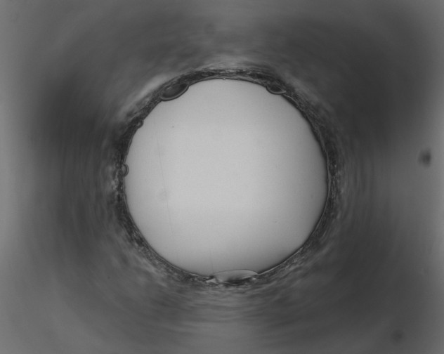 X0000116551206200912311904