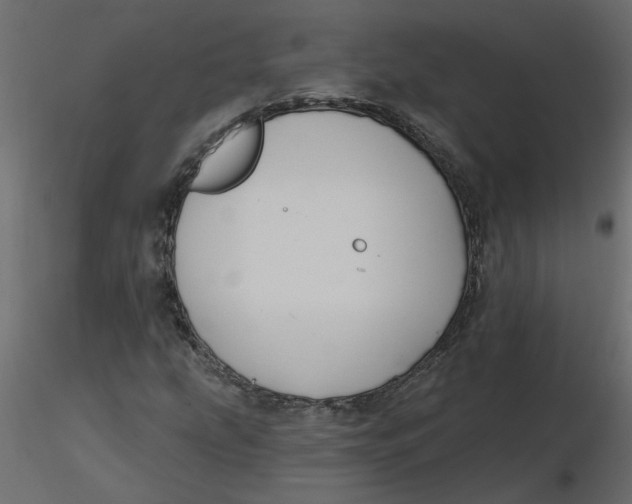 X0000116551207200912311904