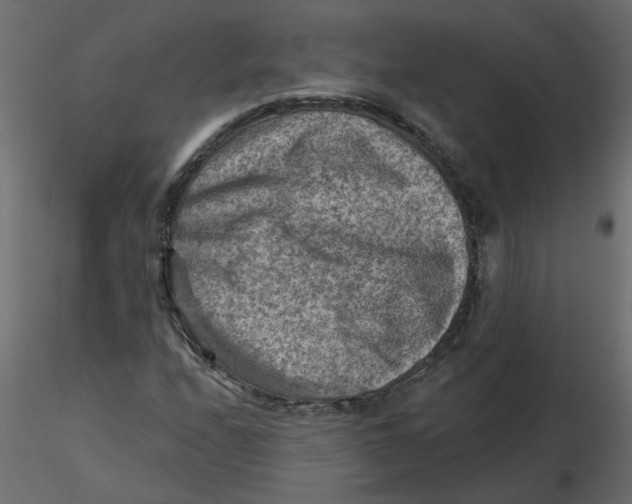 X0000116551208200912311904