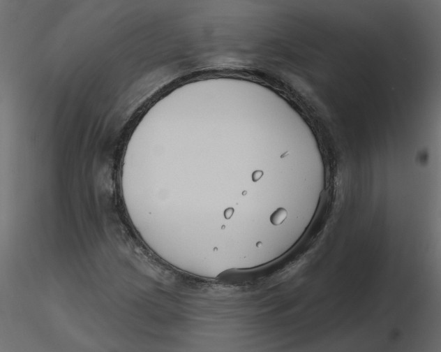 X0000116551209200912311904