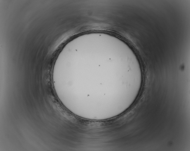 X0000116551211200912311904