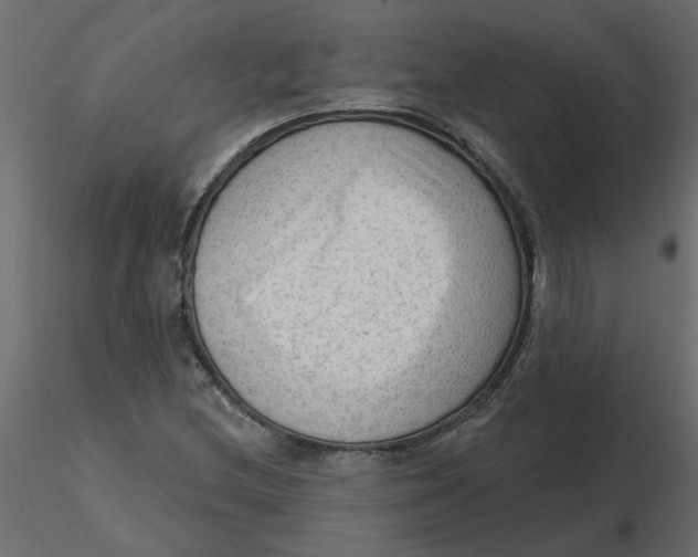 X0000116551212200912311904