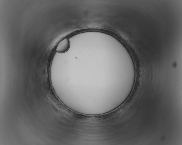 X0000116551214200912311904