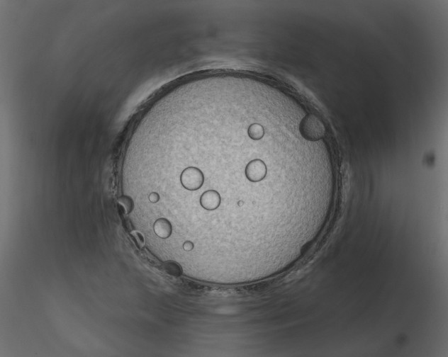 X0000116551215200912311904