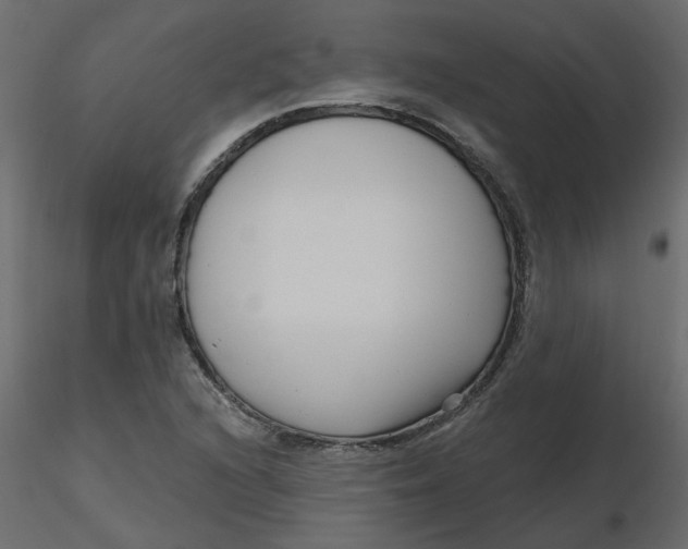 X0000116551216200912311904