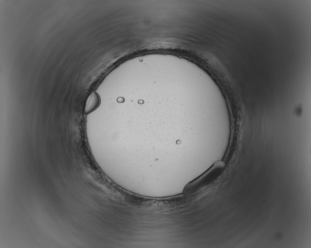 X0000116551217200912311904