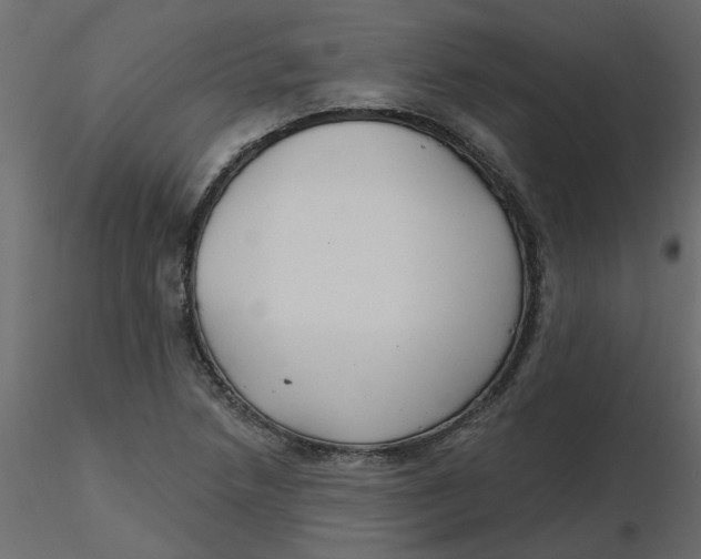 X0000116551218200912311904