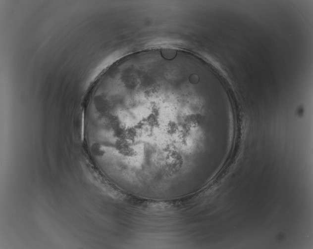 X0000116551219200912311904