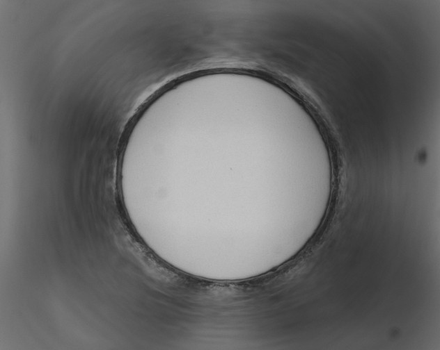 X0000116551220200912311904