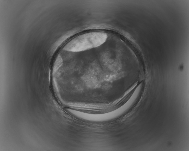 X0000116551221200912311904