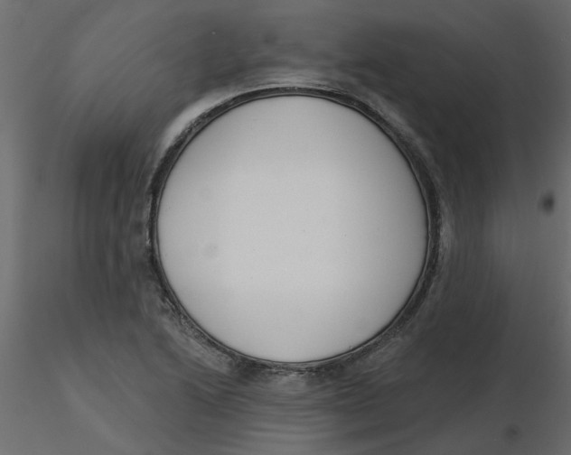 X0000116551222200912311904