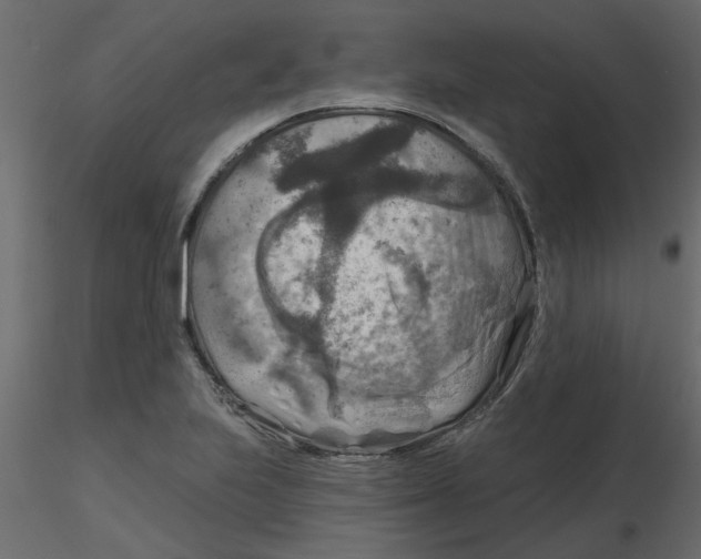 X0000116551223200912311905