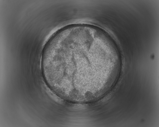 X0000116551224200912311905