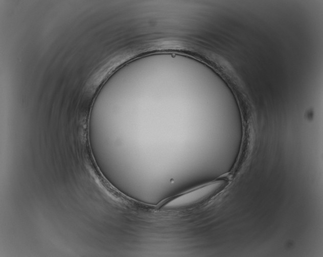 X0000116551225200912311905