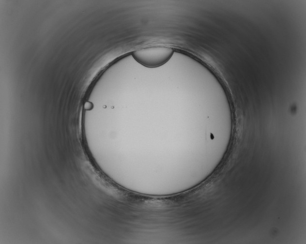 X0000116551227200912311905