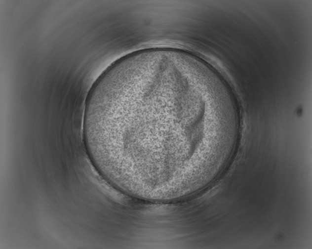 X0000116551228200912311905