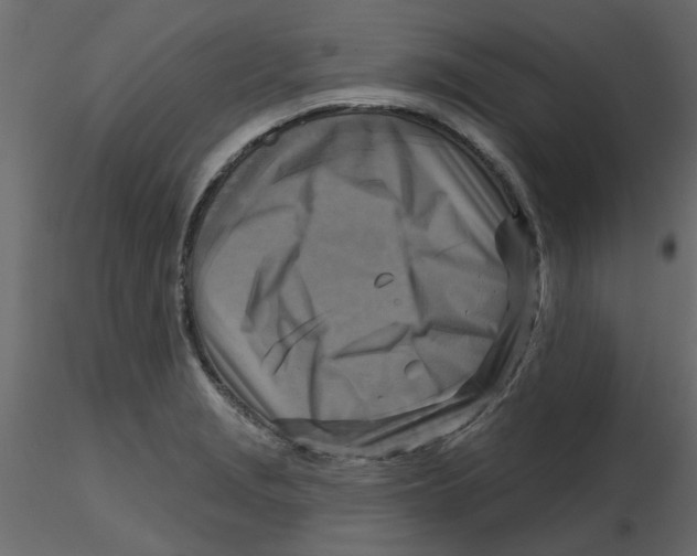 X0000116551229200912311905