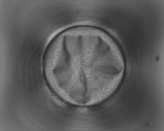 X0000116551230200912311905