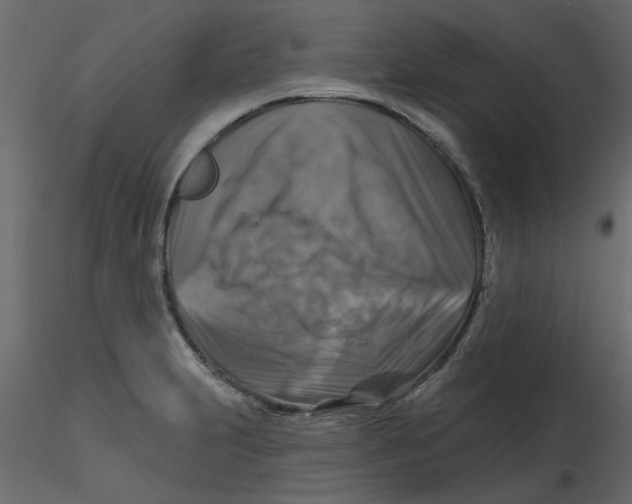 X0000116551231200912311905