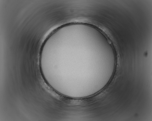 X0000116551232200912311905