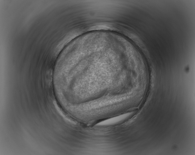 X0000116551233200912311905