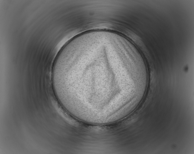 X0000116551234200912311905