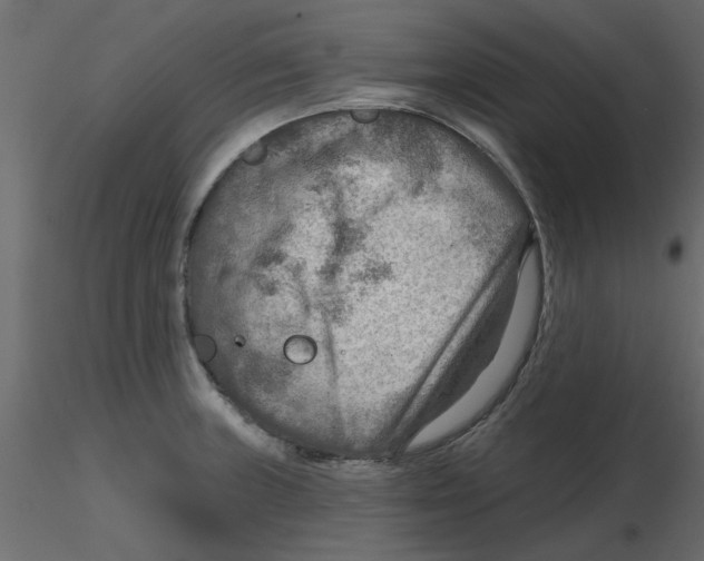 X0000116551235200912311905