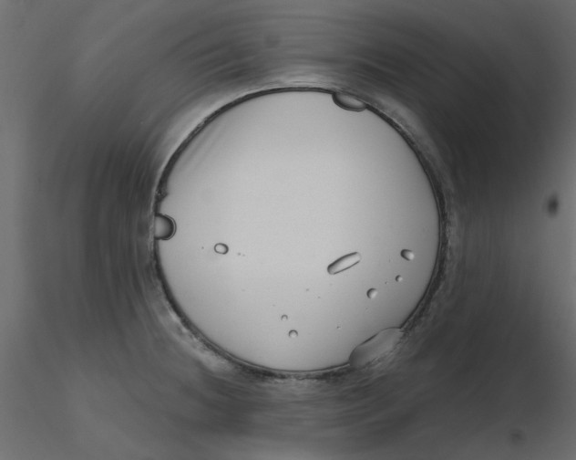 X0000116551236200912311905