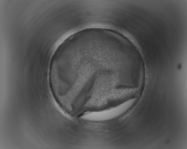 X0000116551237200912311905