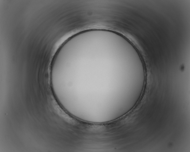 X0000116551238200912311905