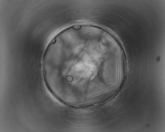 X0000116551239200912311905