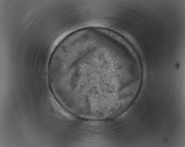 X0000116551240200912311905