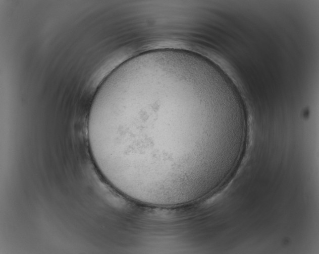 X0000116551241200912311905