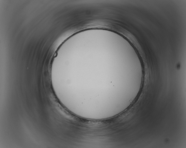 X0000116551242200912311905