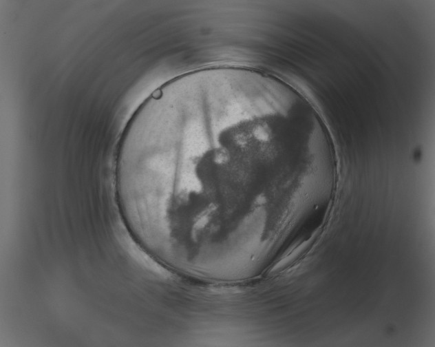 X0000116551243200912311905