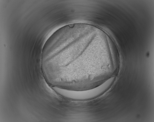 X0000116551244200912311905