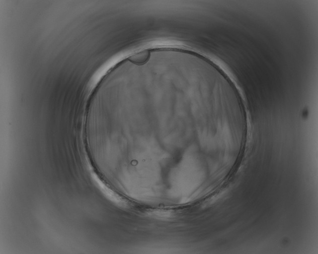 X0000116551245200912311905